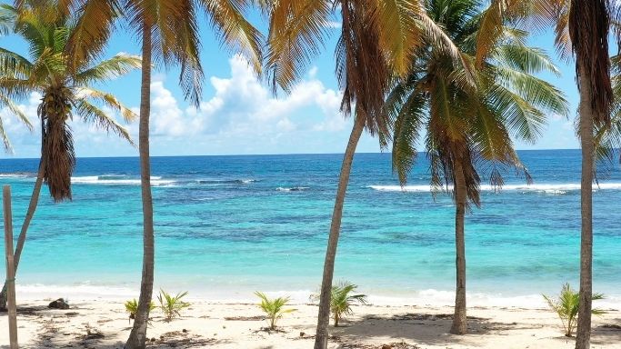 Anse Champagne